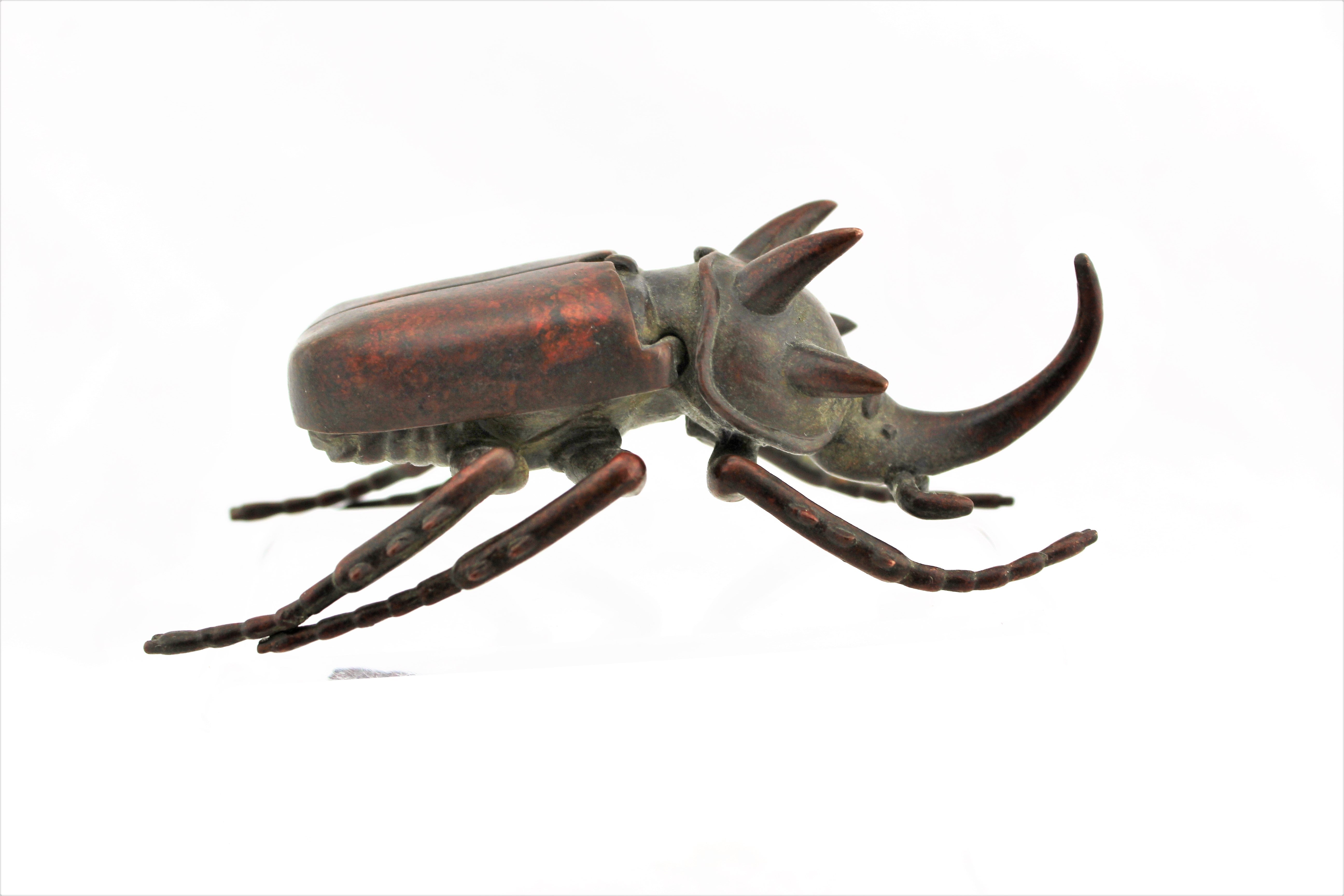 Red Copper Beetle