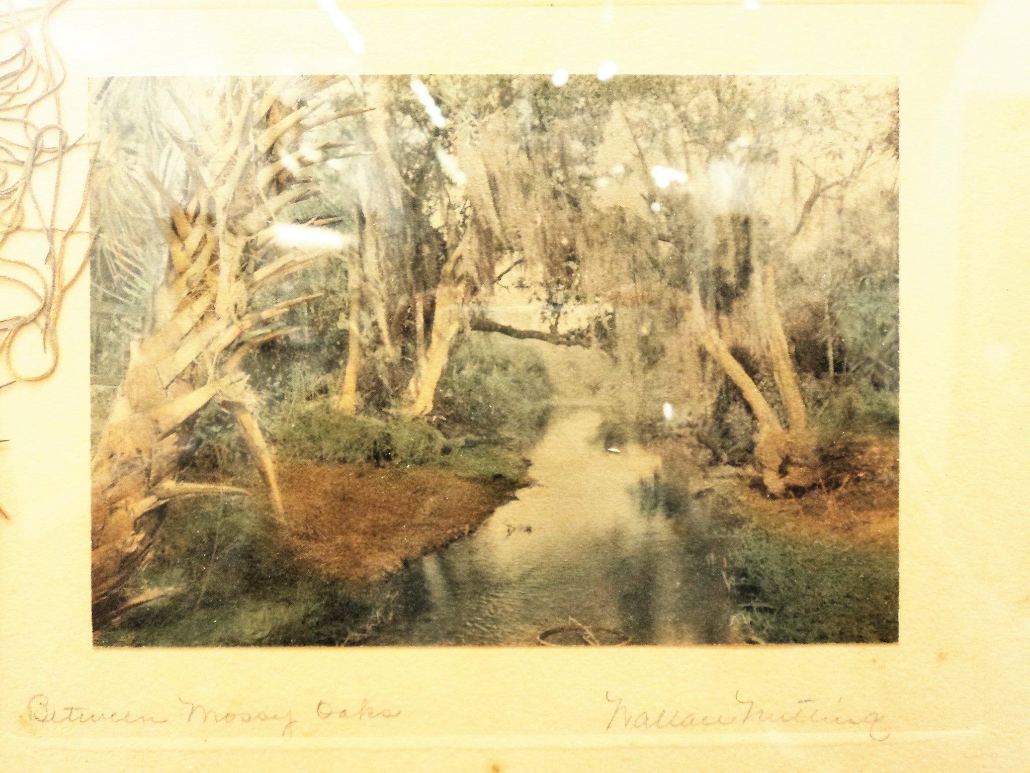 Wallace Nutting (1861-1941) Hand-Tinted Photo