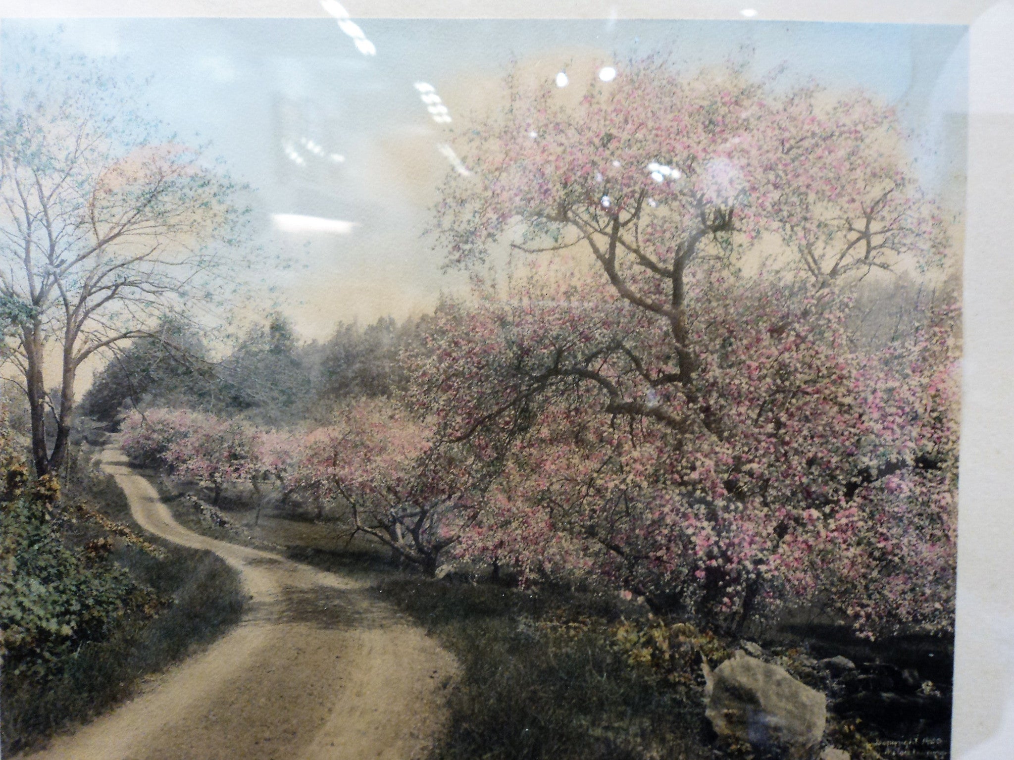 Wallace Nutting (1861 -1941) Tinted Photo
