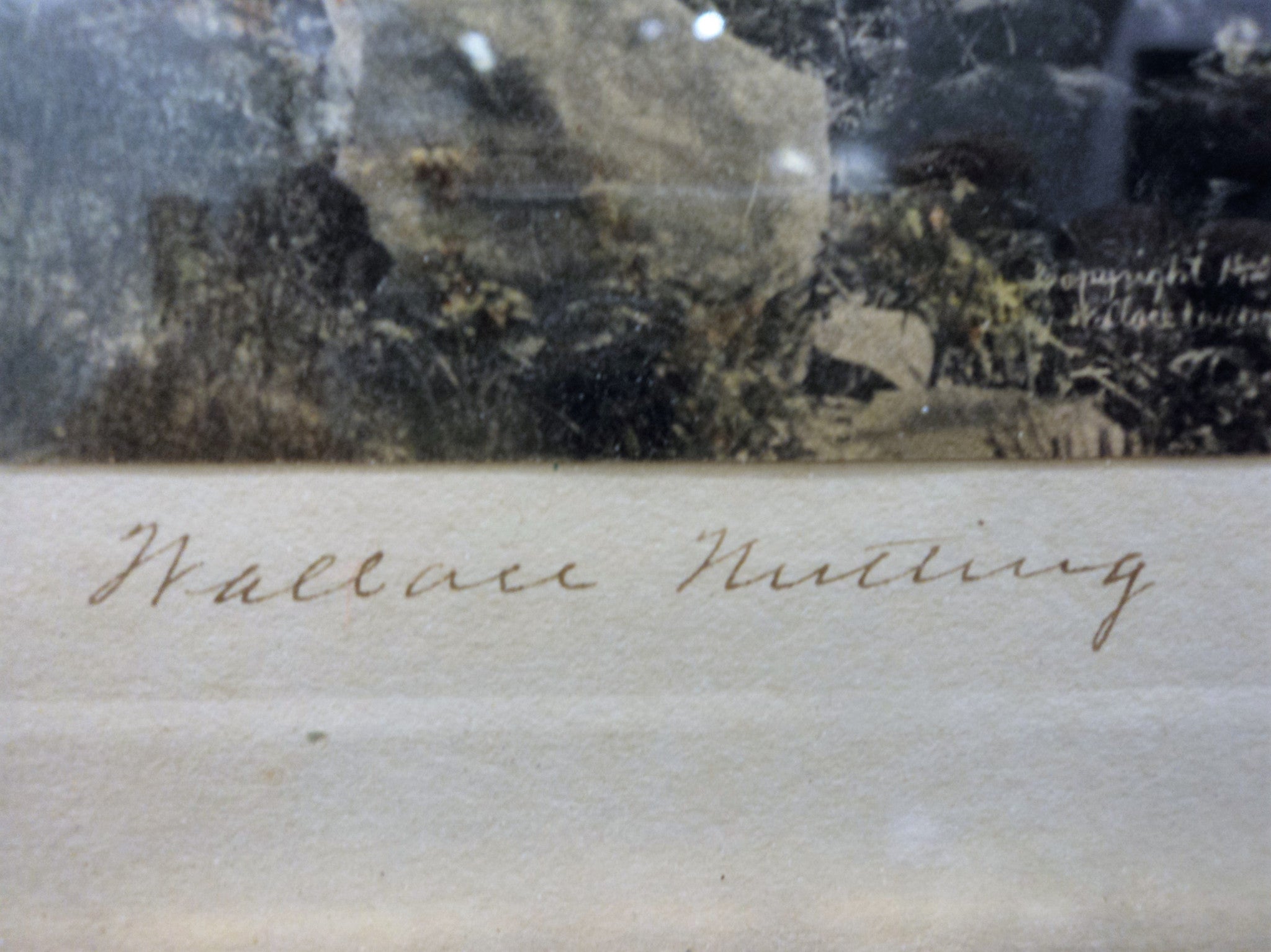 Wallace Nutting (1861 -1941) Tinted Photo