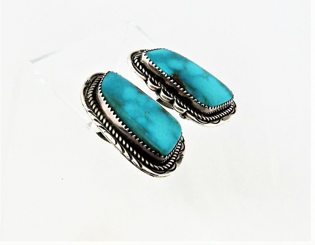 Sterling Silver and Turquoise Earrings