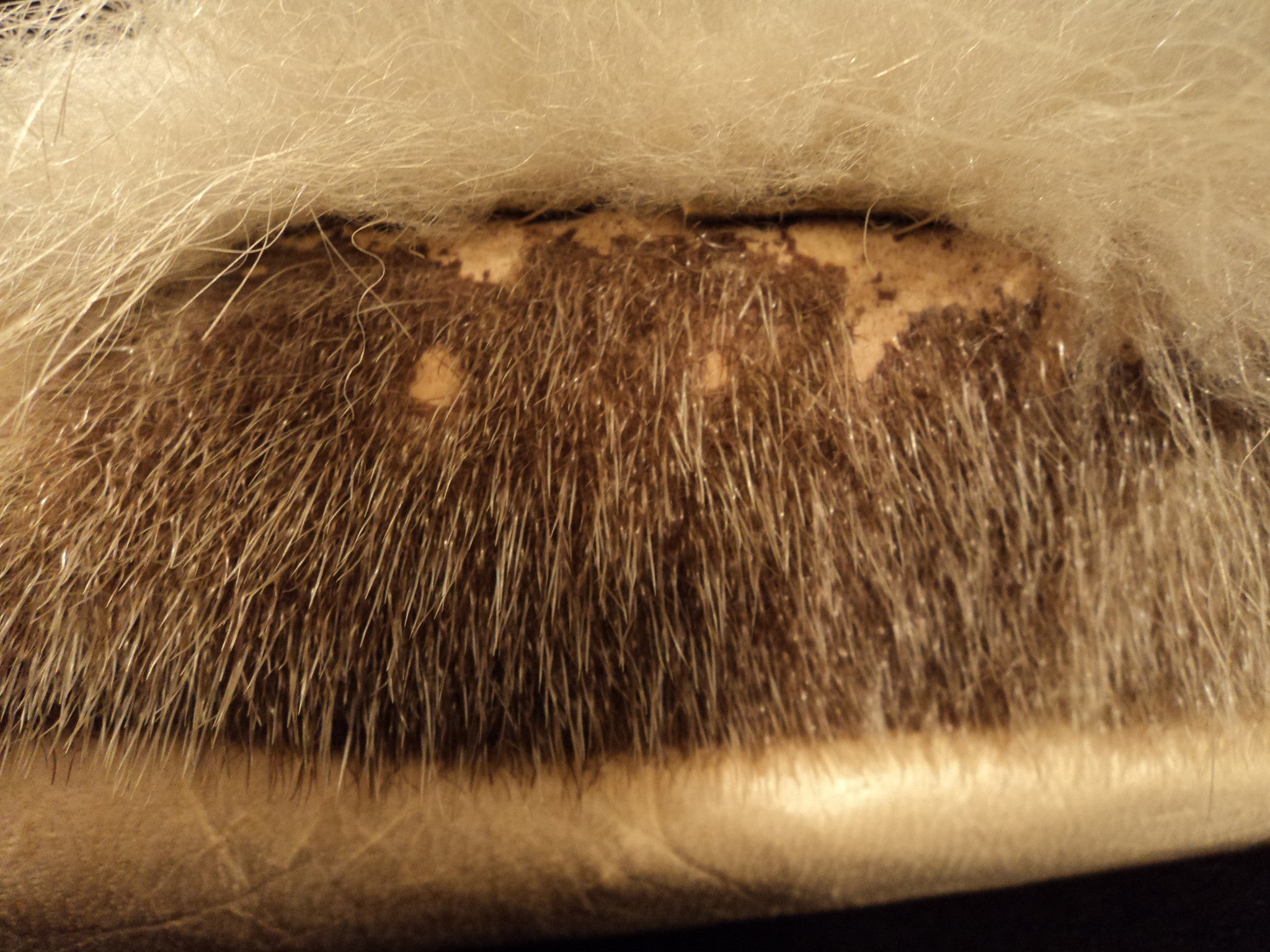 Alaskan Beaded Leather and Fur Moccasin