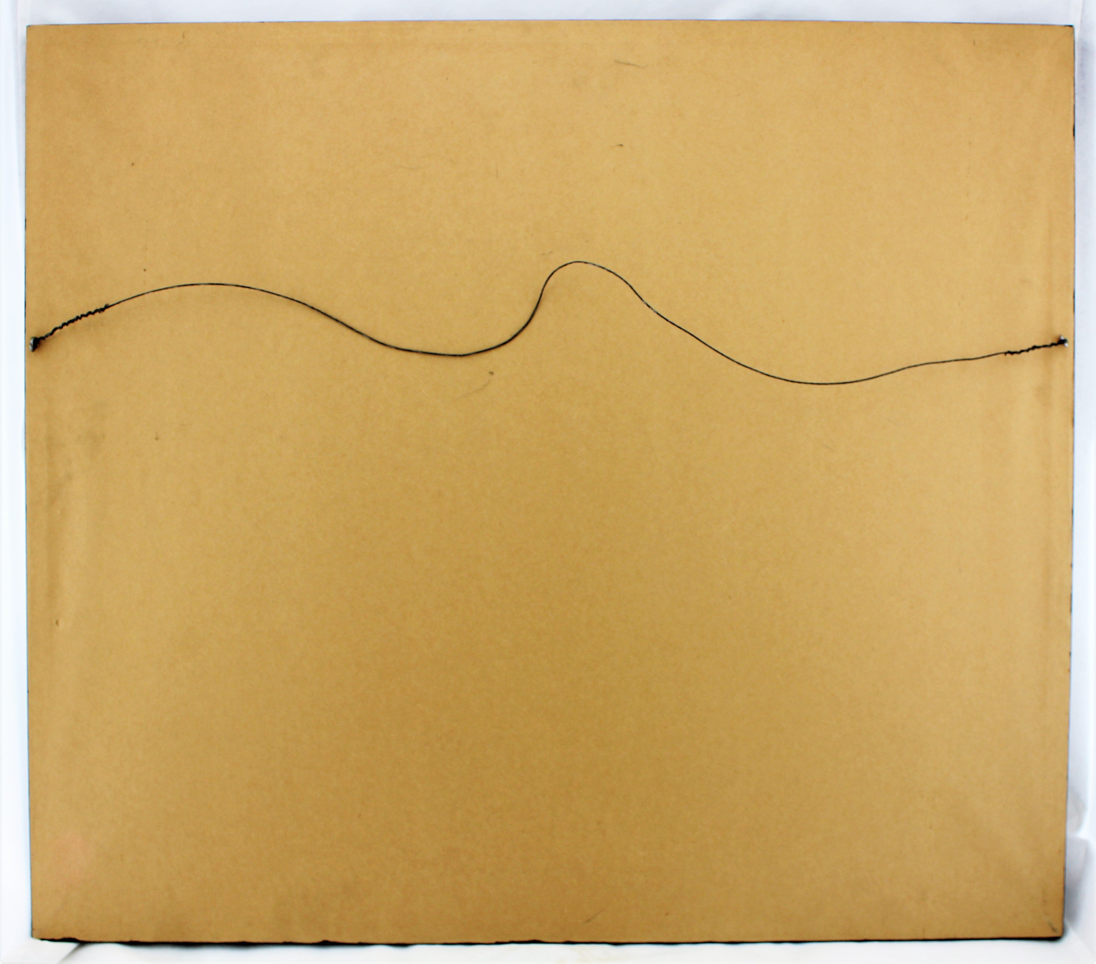 World Map Lithograph