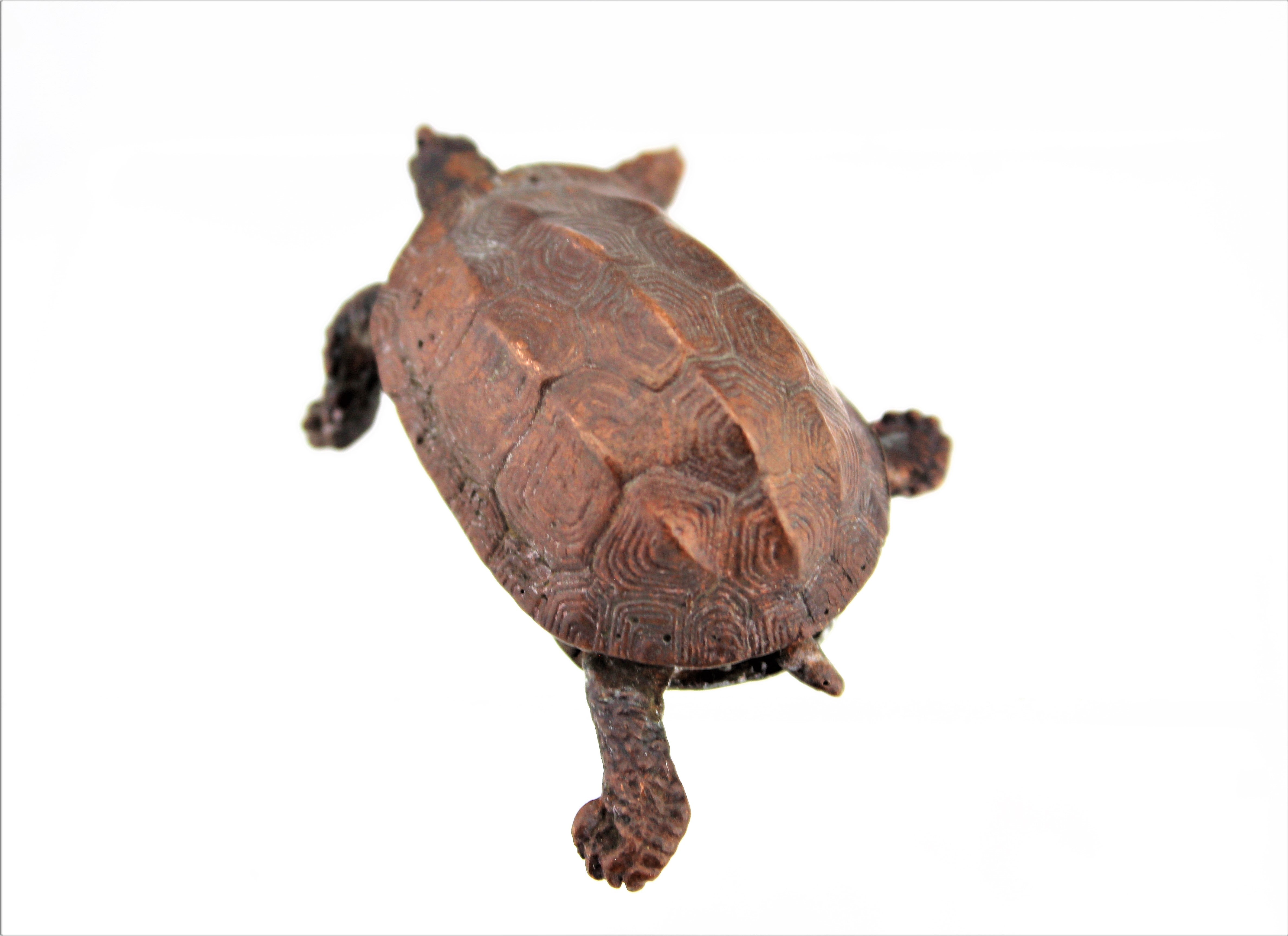 Red Copper Box Turtle