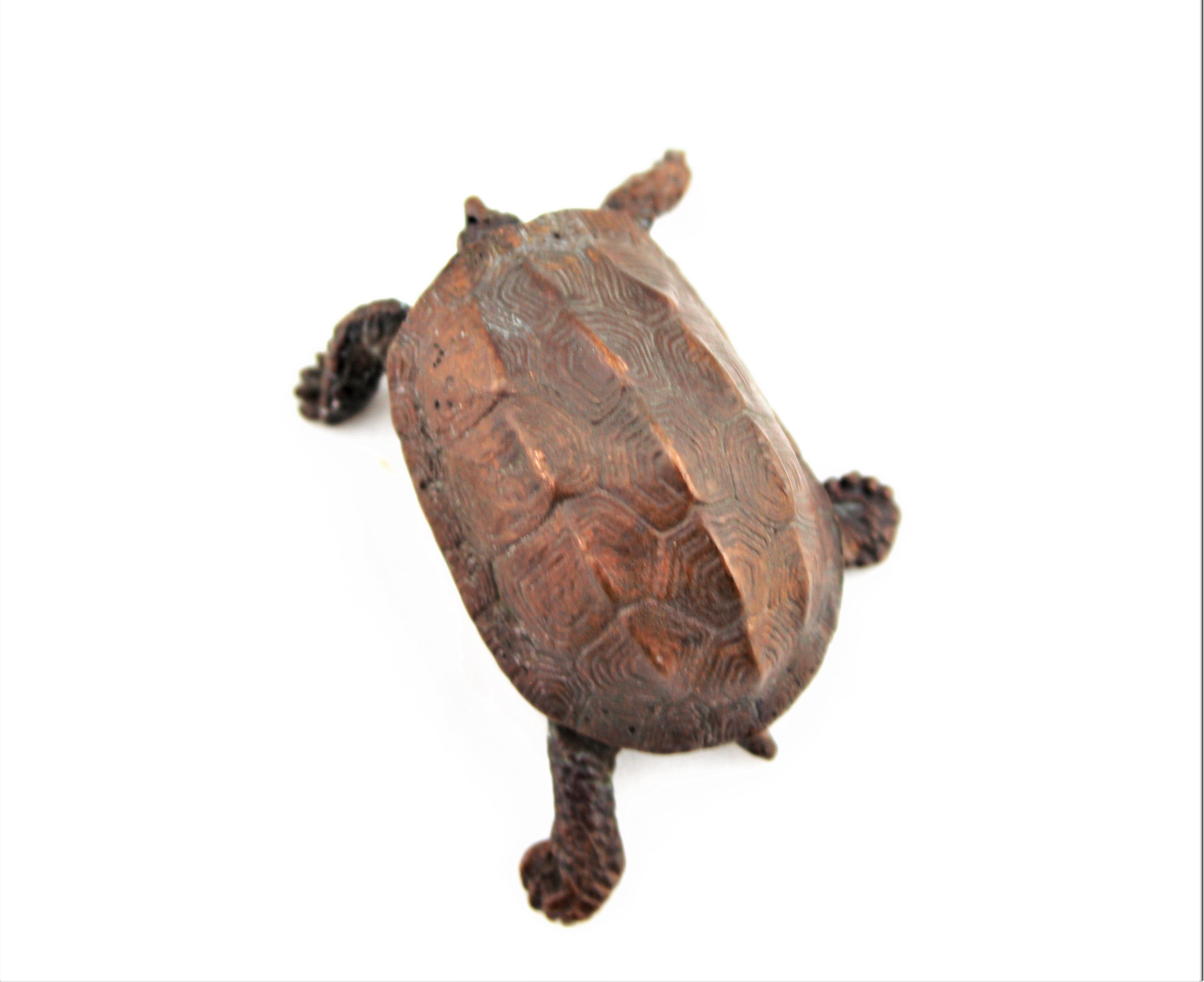 Red Copper Box Turtle