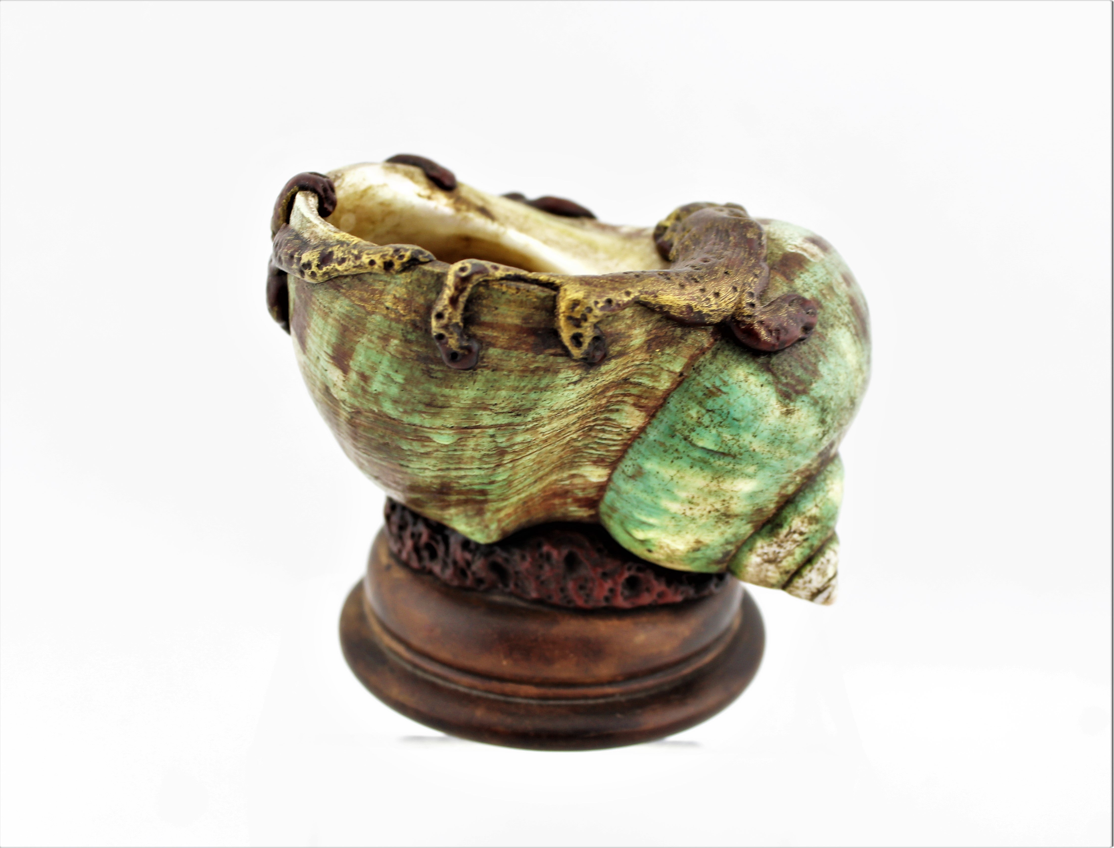 Small Conch Shell Brush Washer