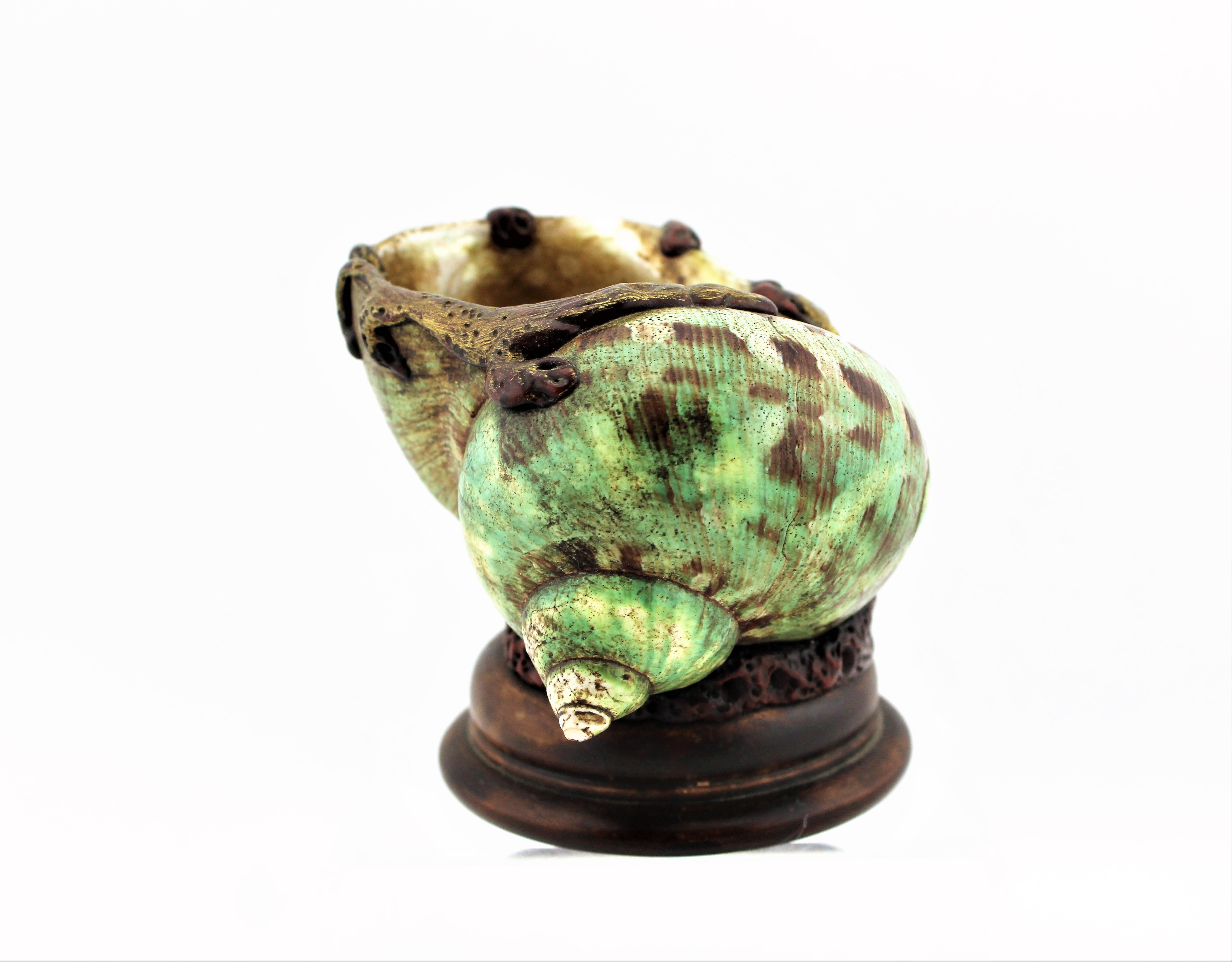 Small Conch Shell Brush Washer