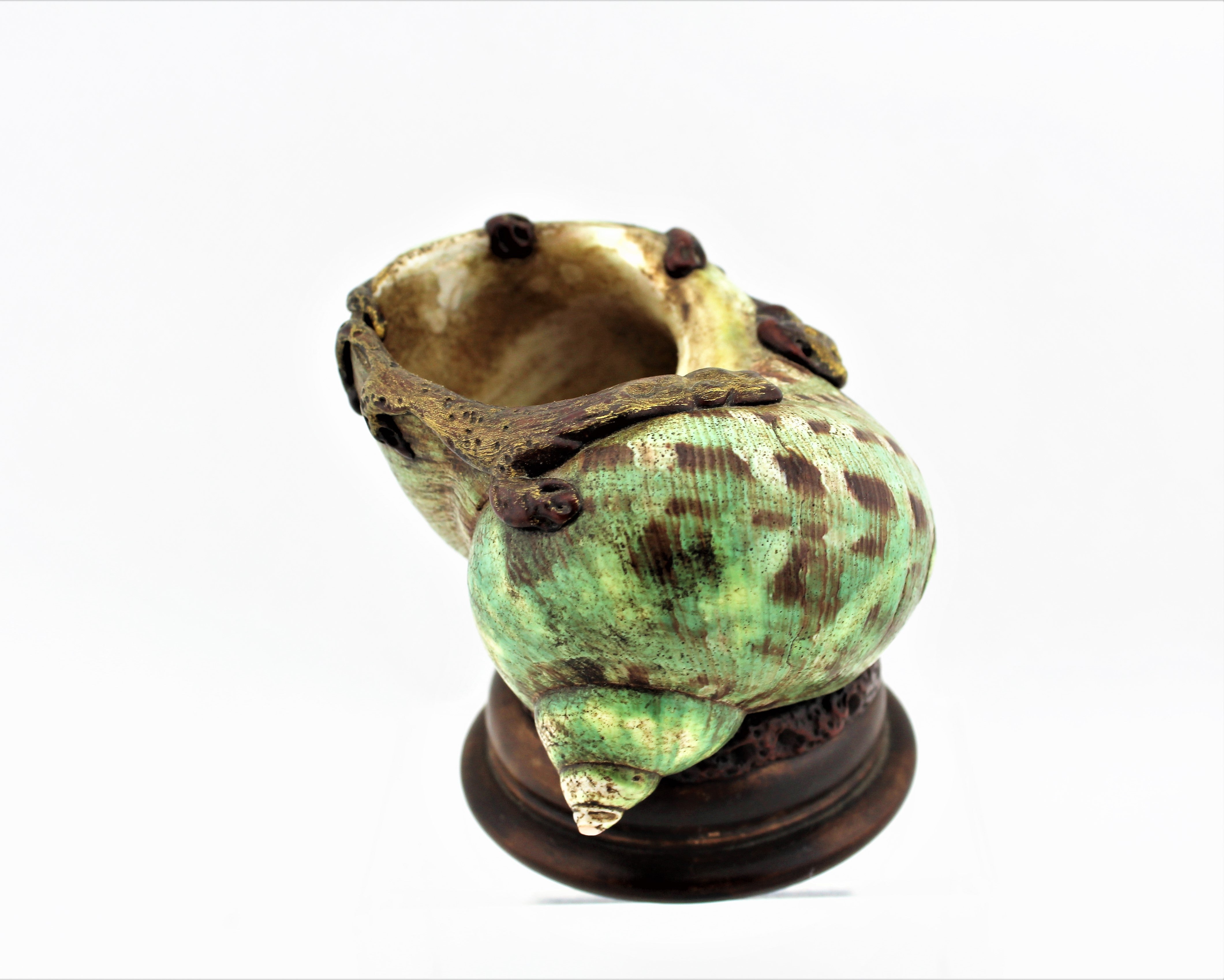 Small Conch Shell Brush Washer
