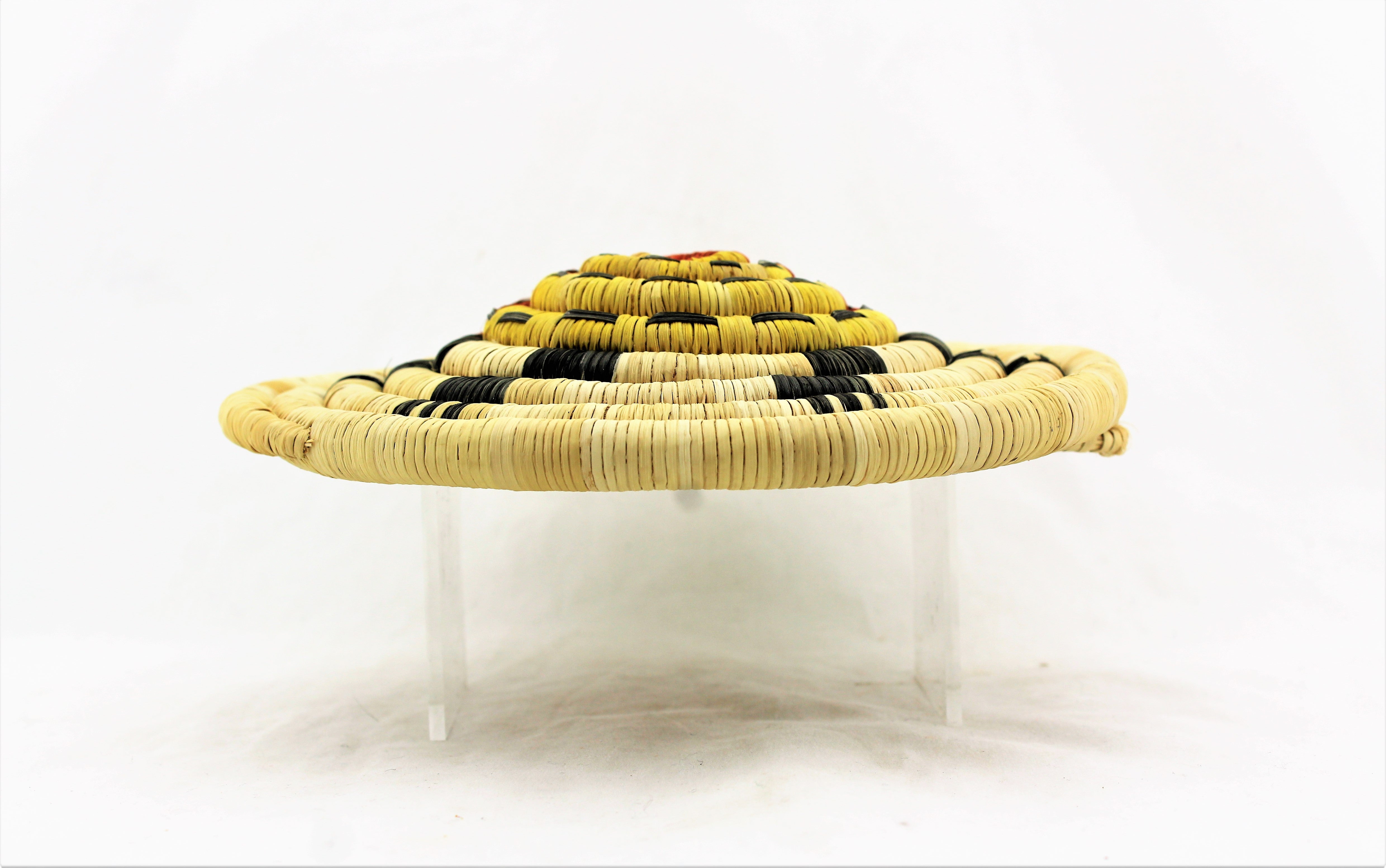 Raised Turtle Hopi Coil Plaque