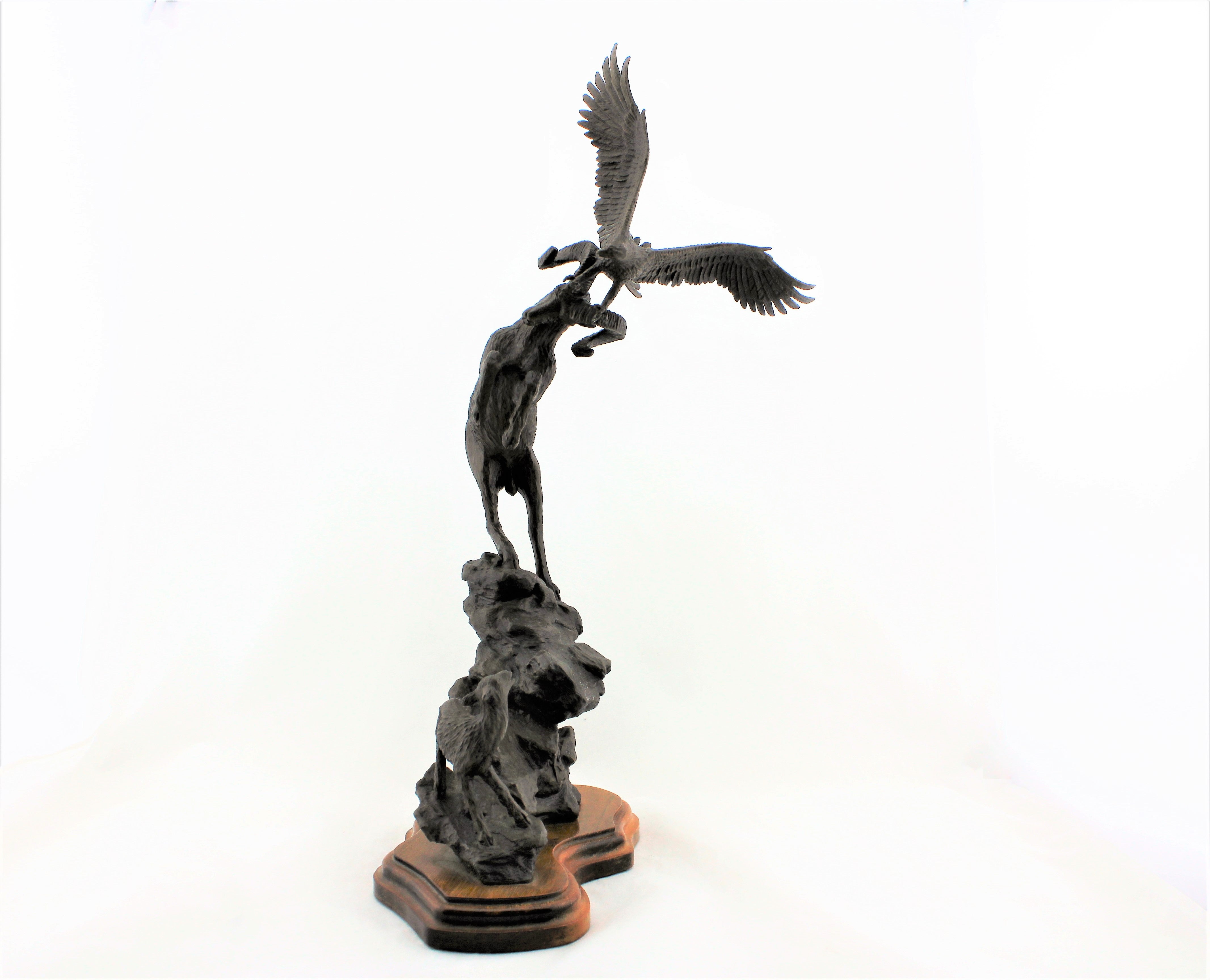 Douglas Downs Bronze