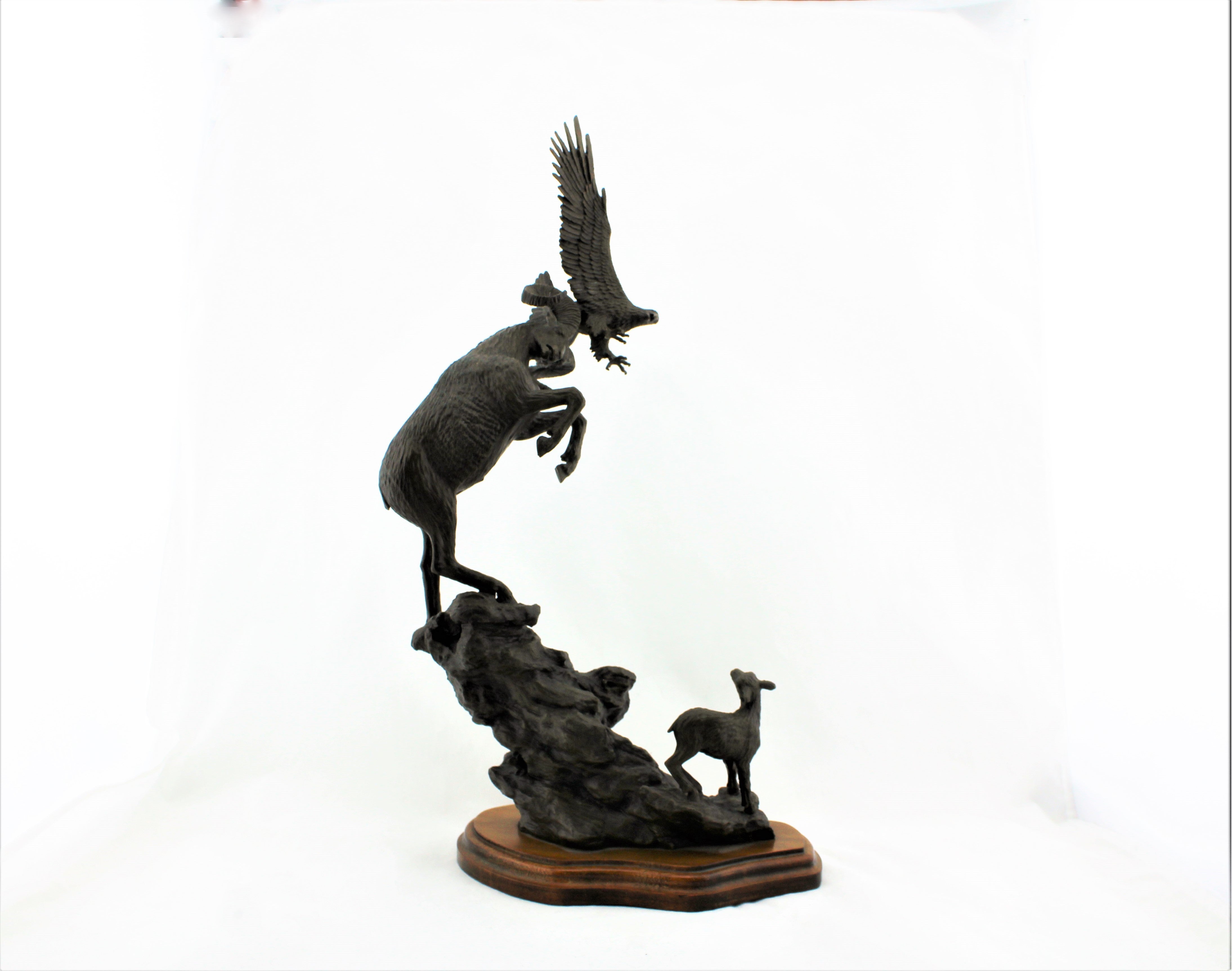 Douglas Downs Bronze