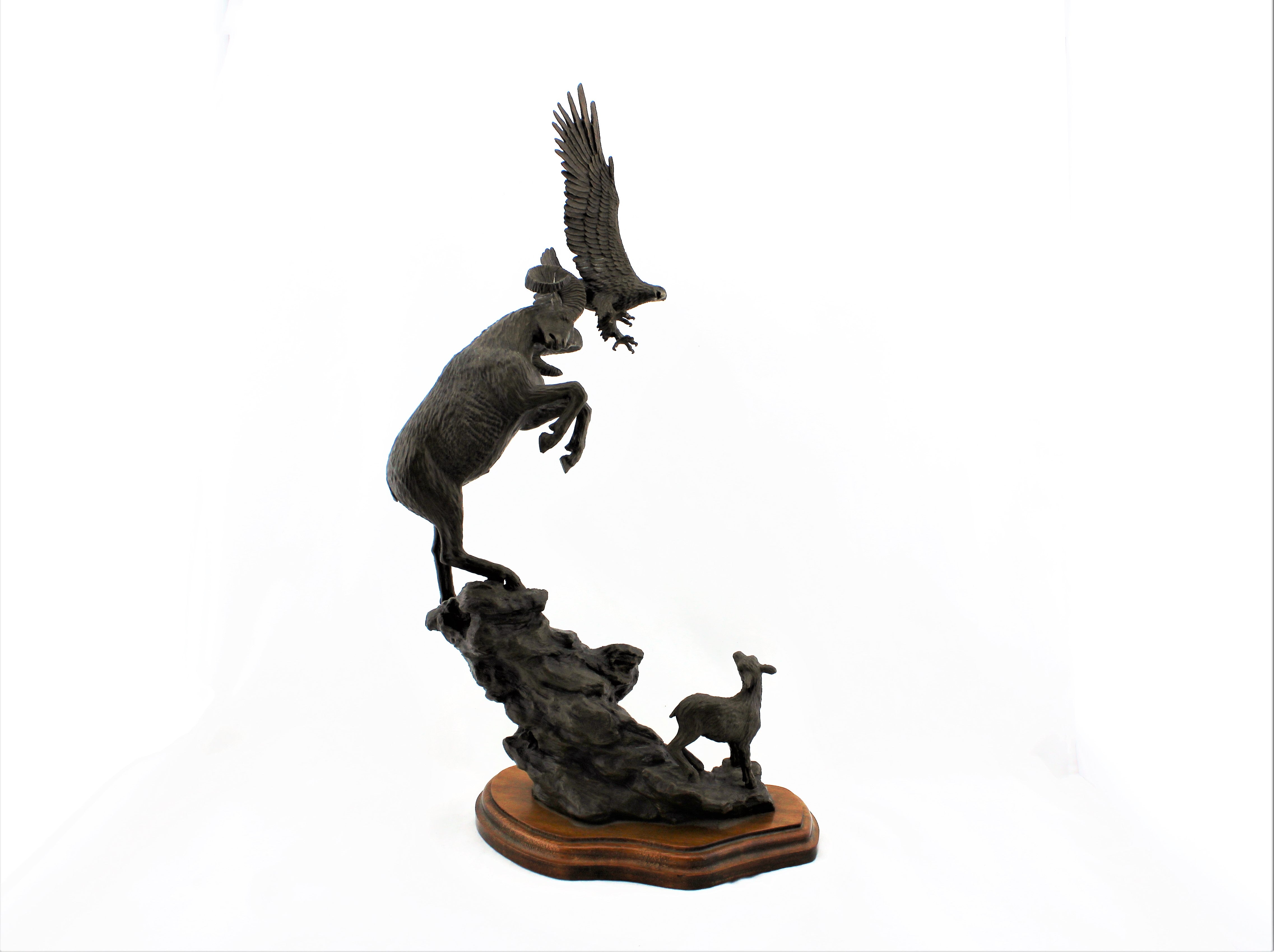 Douglas Downs Bronze