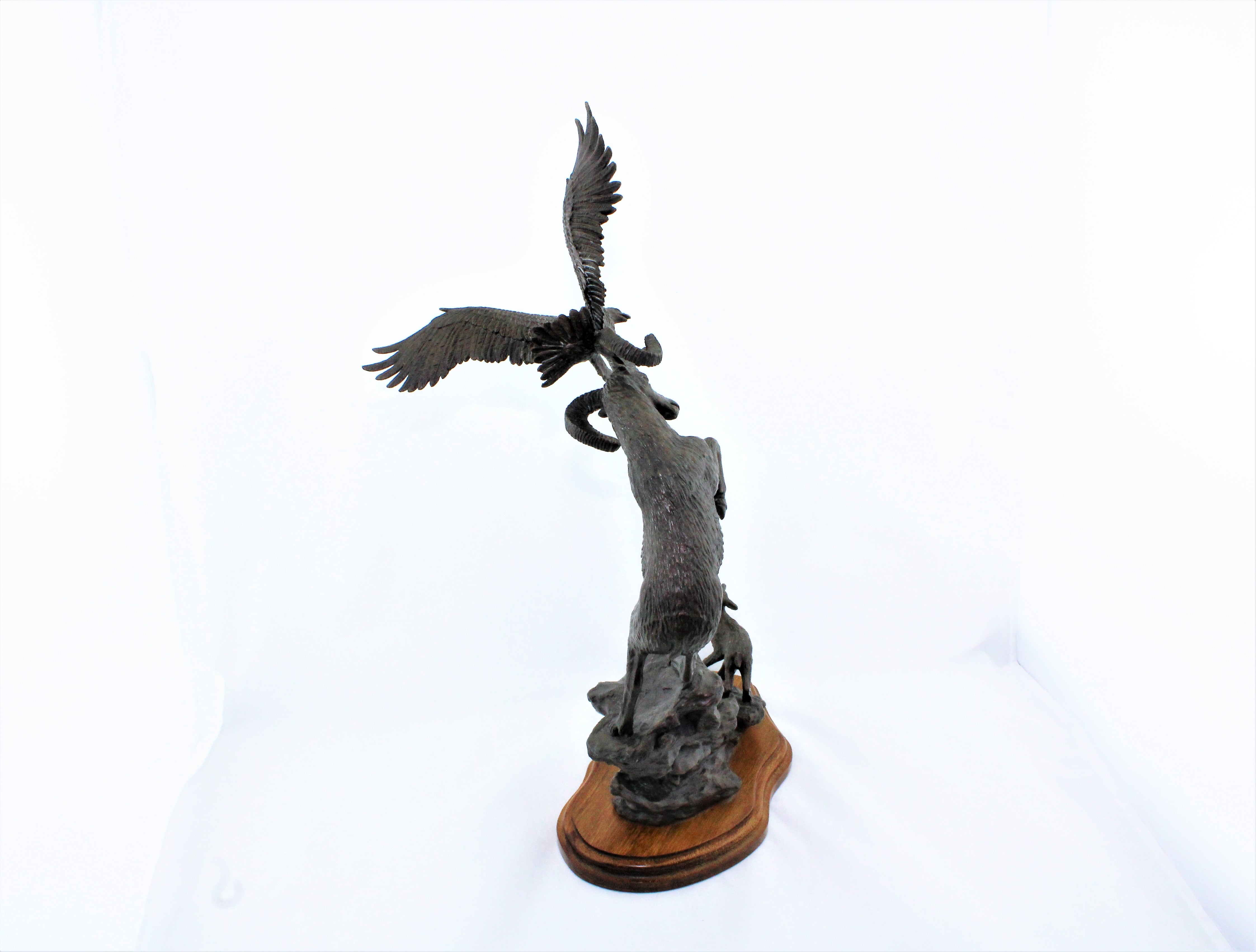 Douglas Downs Bronze