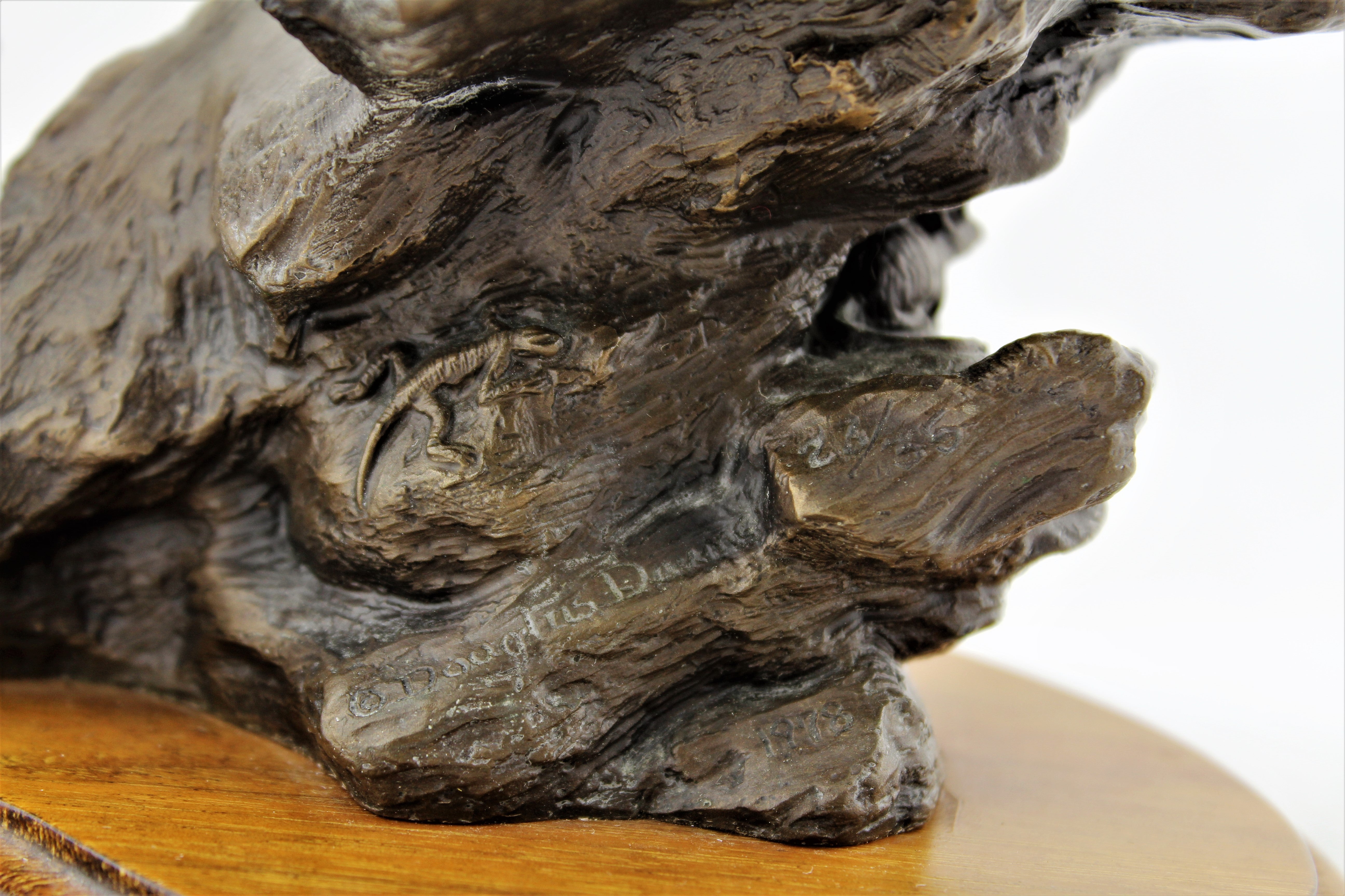 Douglas Downs Bronze