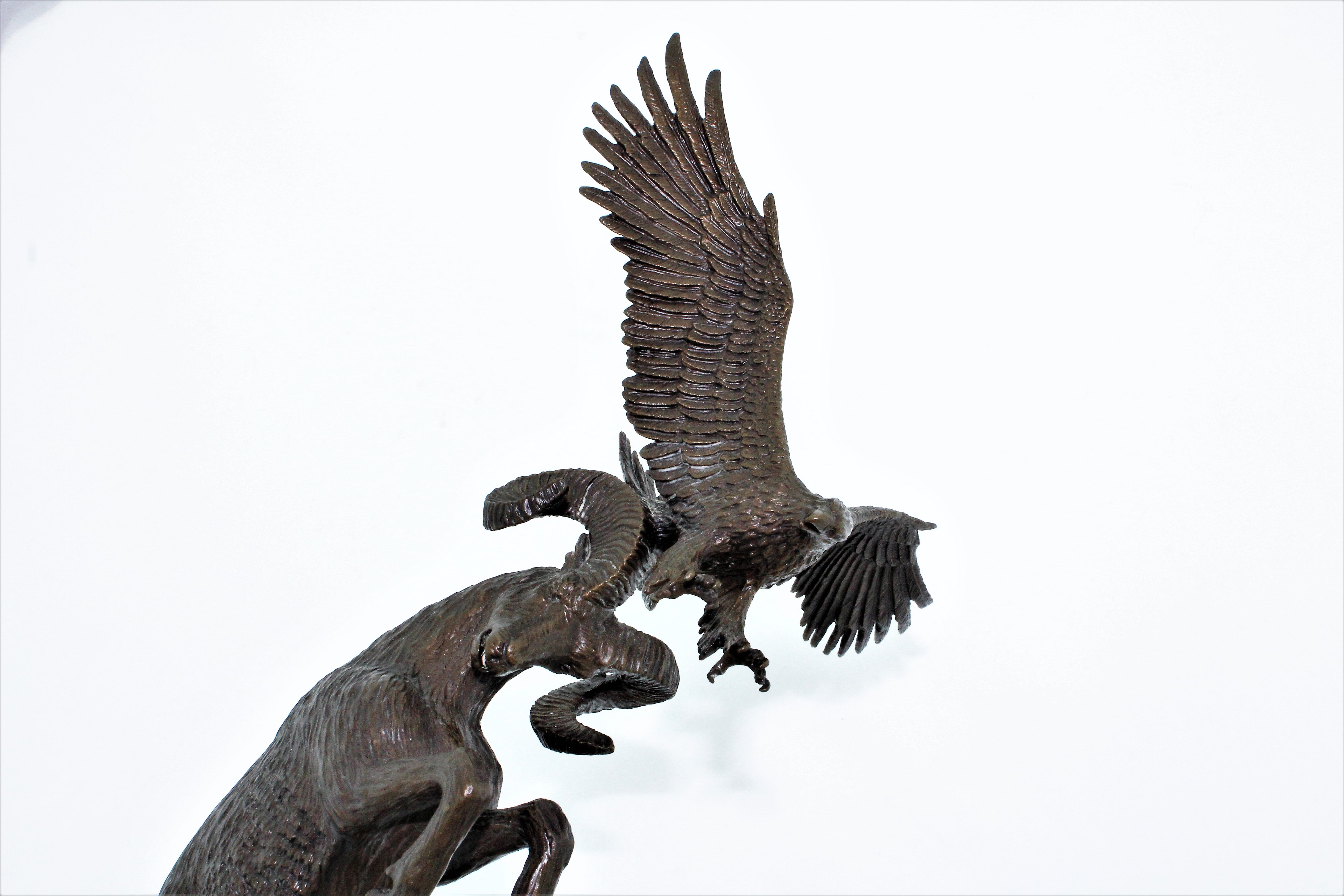 Douglas Downs Bronze
