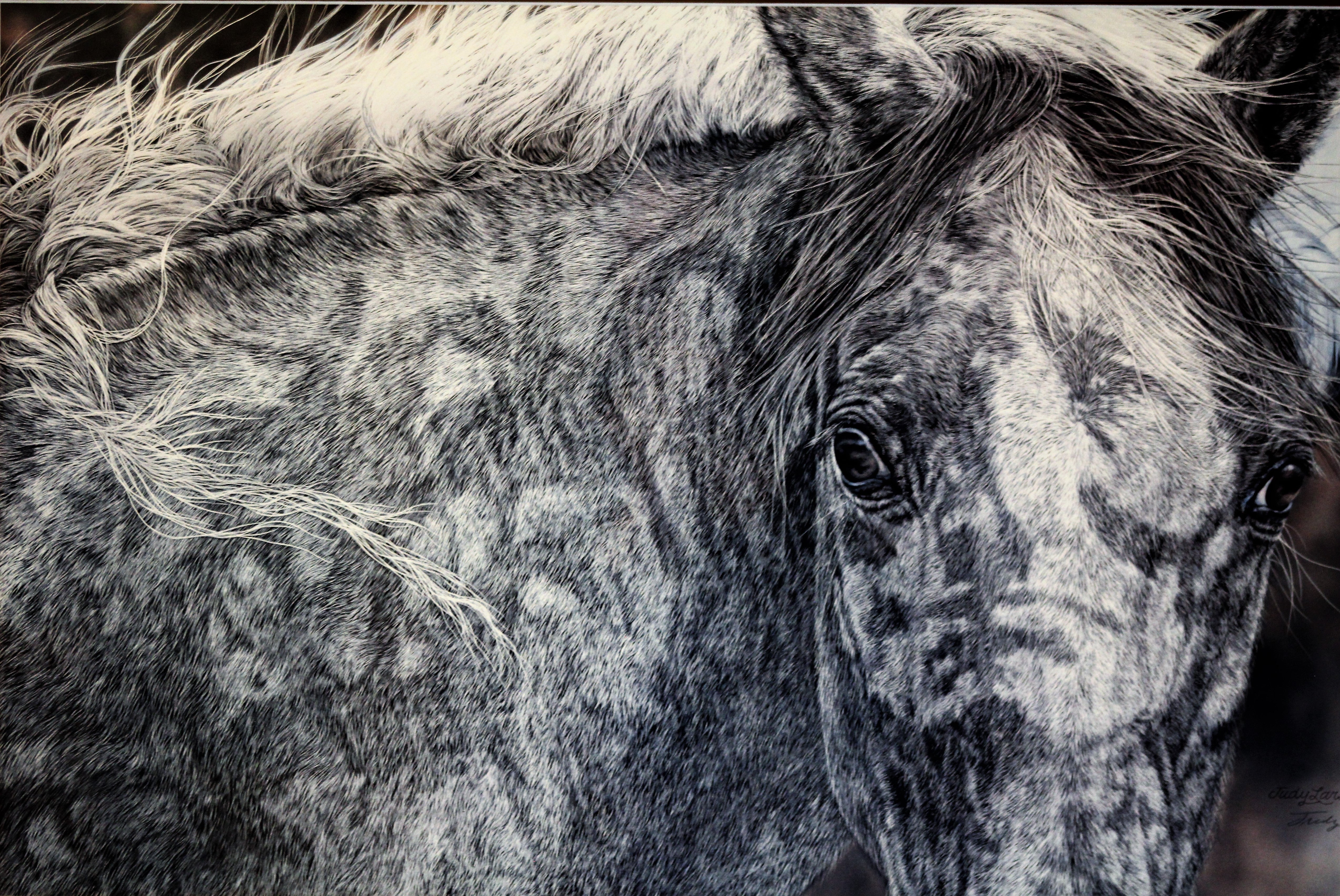 Red Horse Ltd. Ed Print by Judy Larson