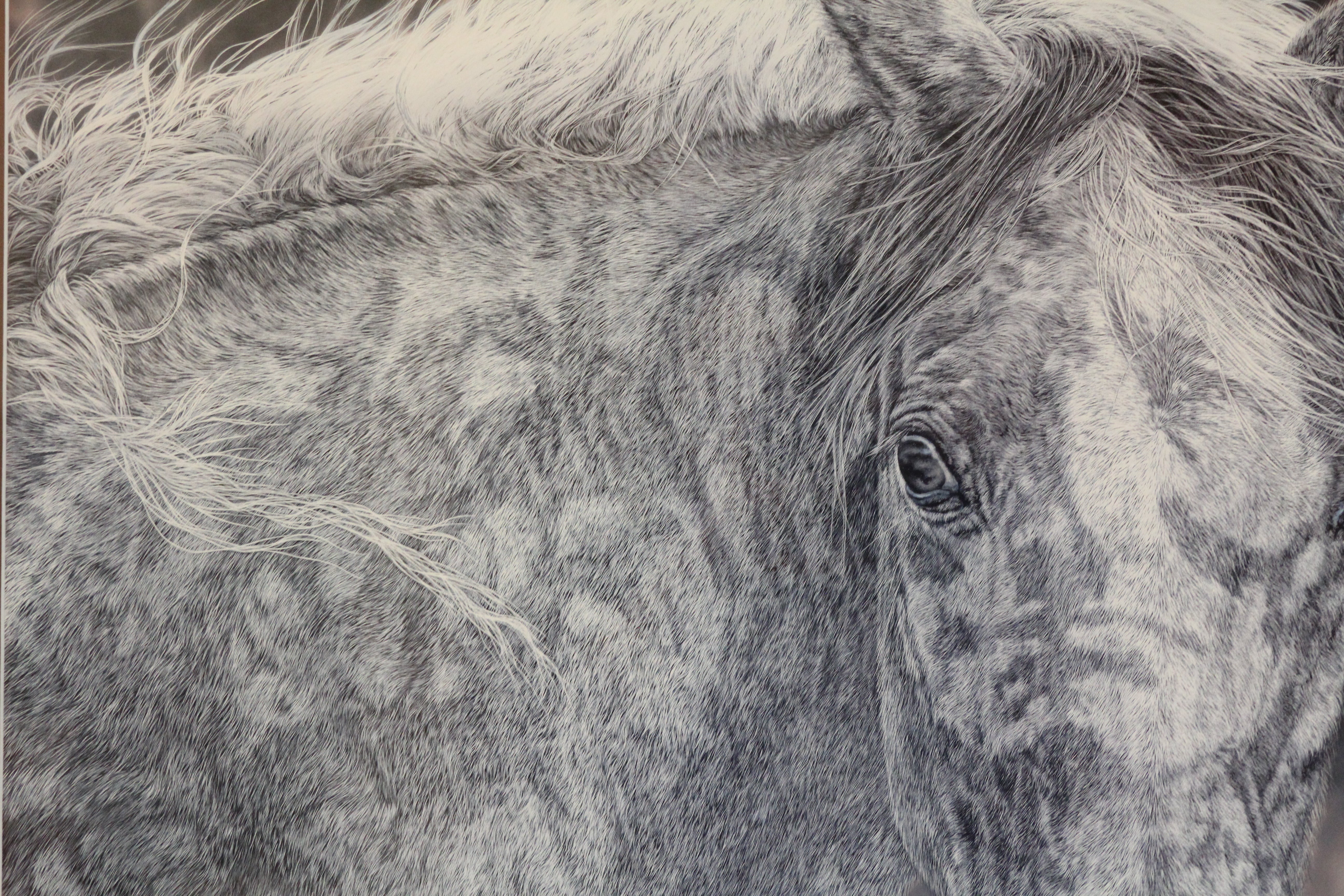 Red Horse Ltd. Ed Print by Judy Larson