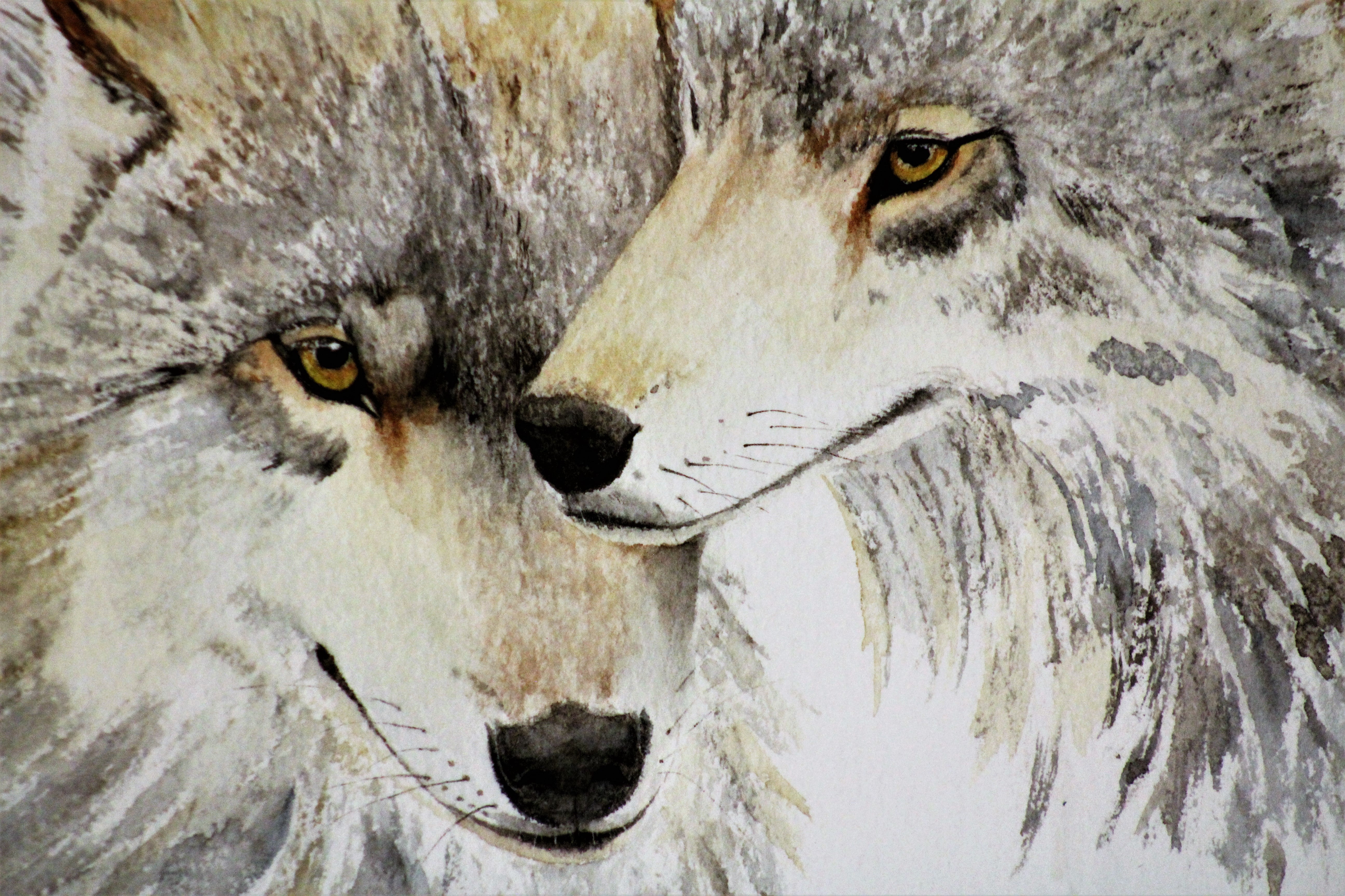 Wolf Watercolor by Nancy Overholtz