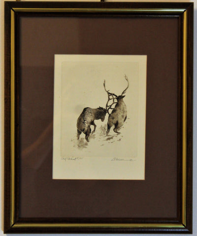 Limited Edition Etching of Elks