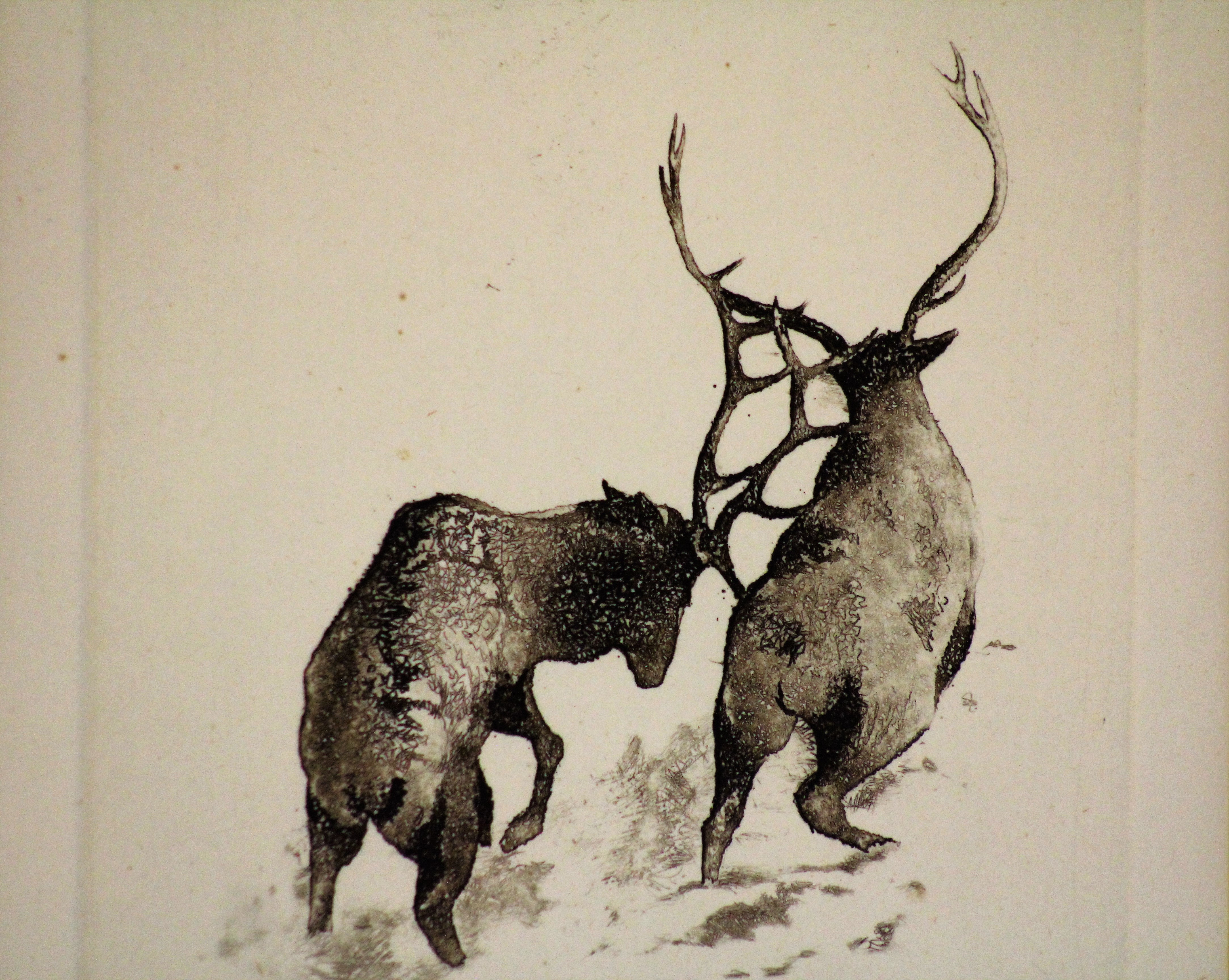 Limited Edition Etching of Elks
