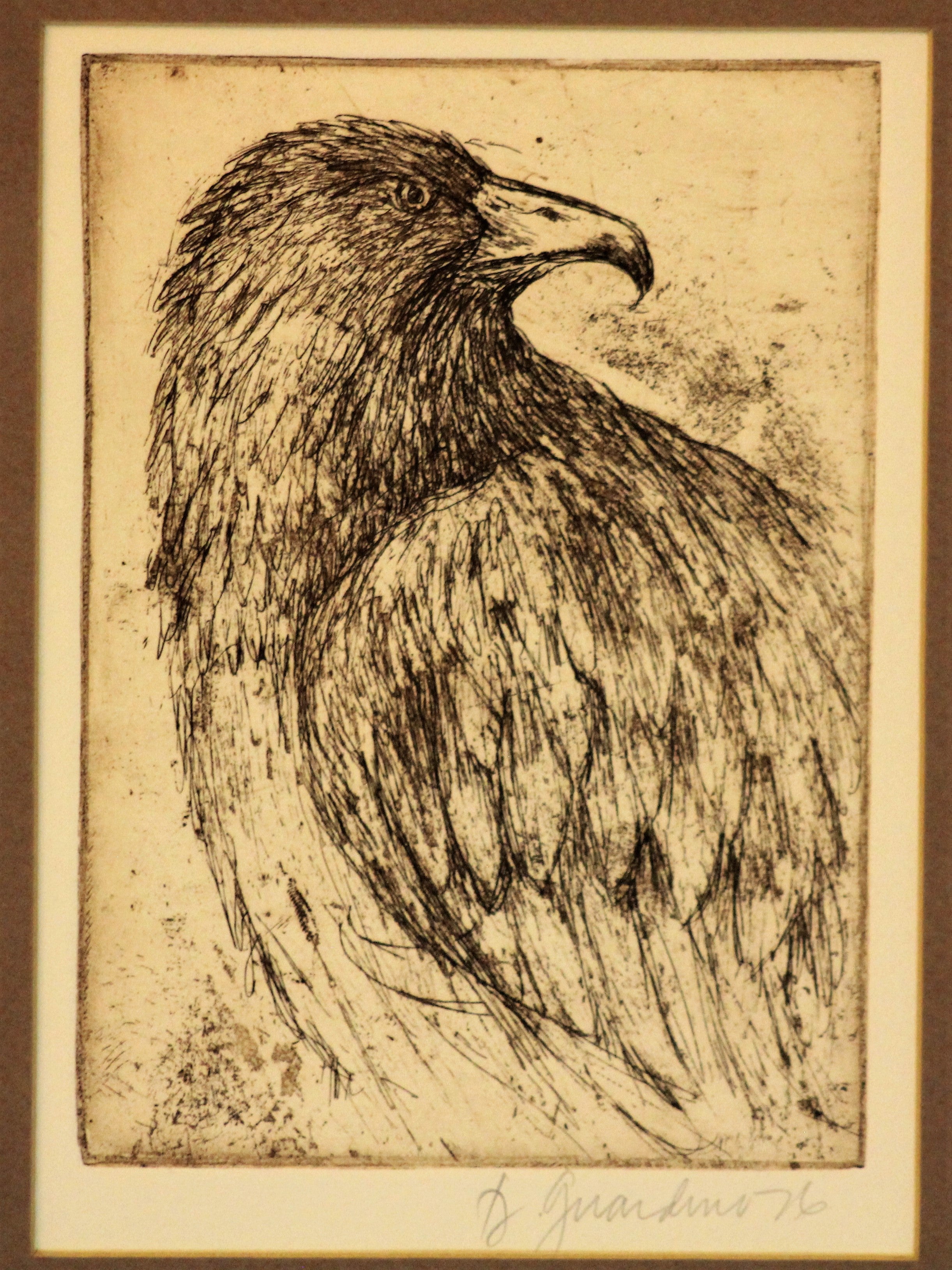 Eagle Etching by Donna Guardino