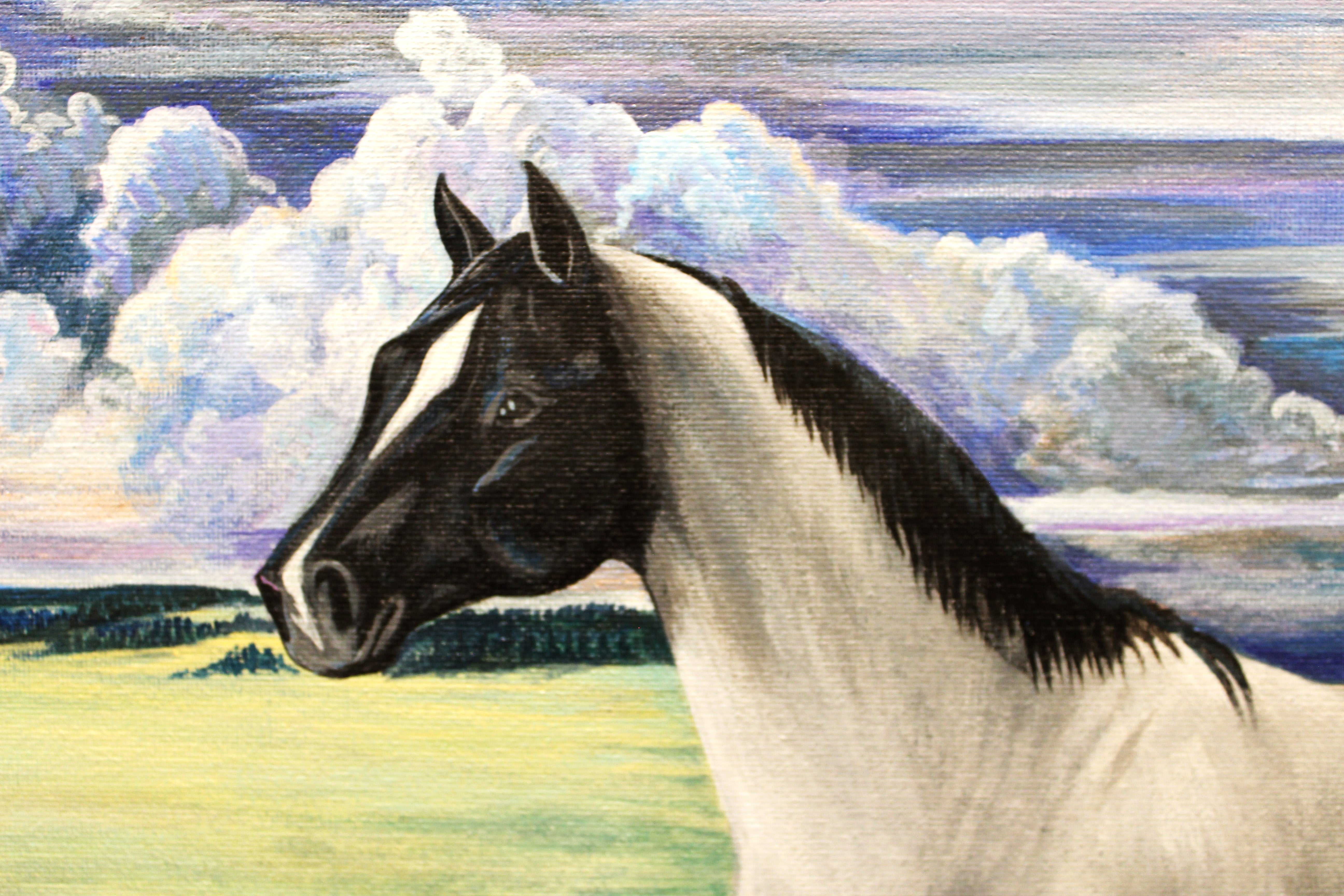 Ridgley Bedonie Horse in a Pasture Painting