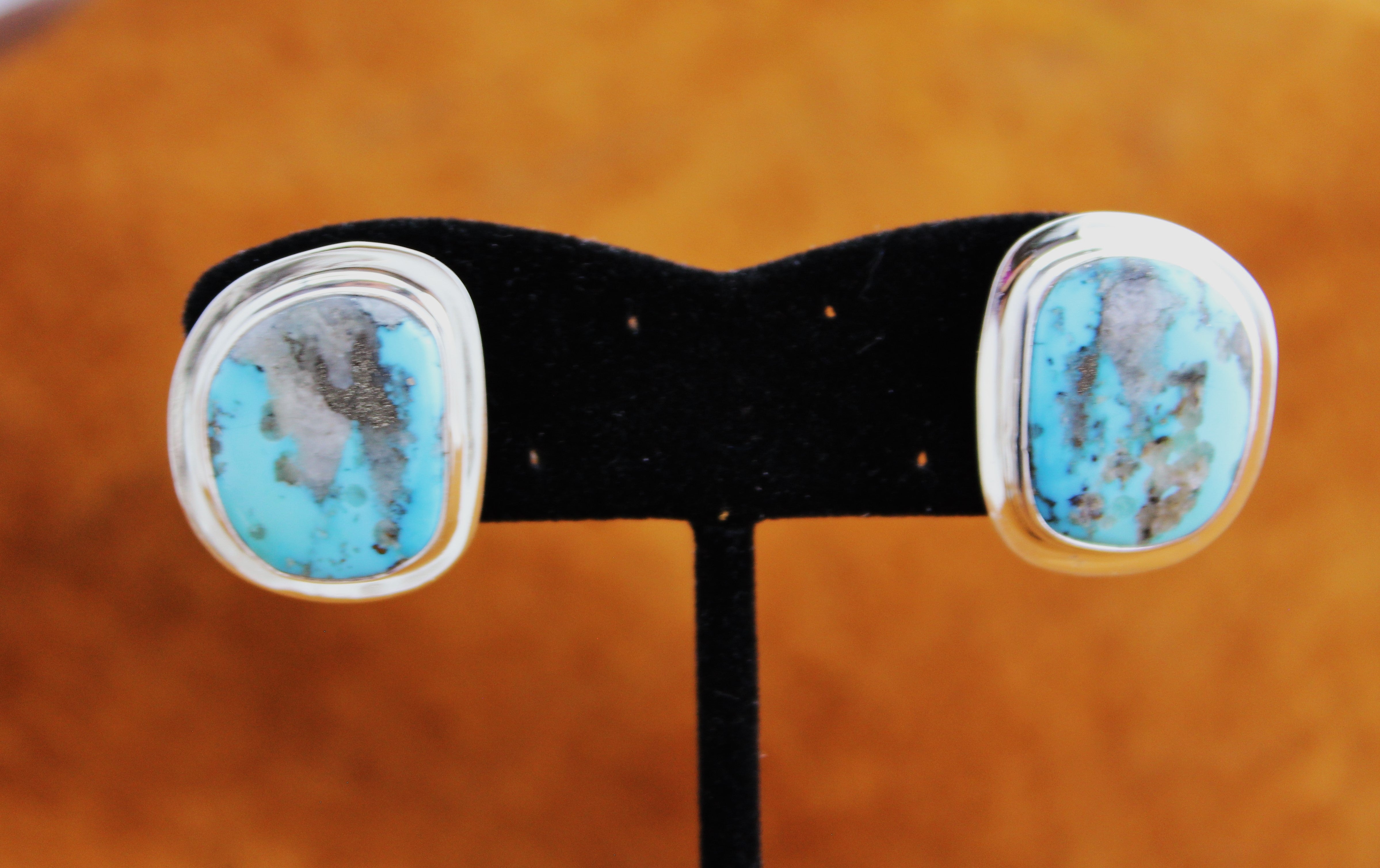 Tommy Jackson Turquoise Mountain Earrings