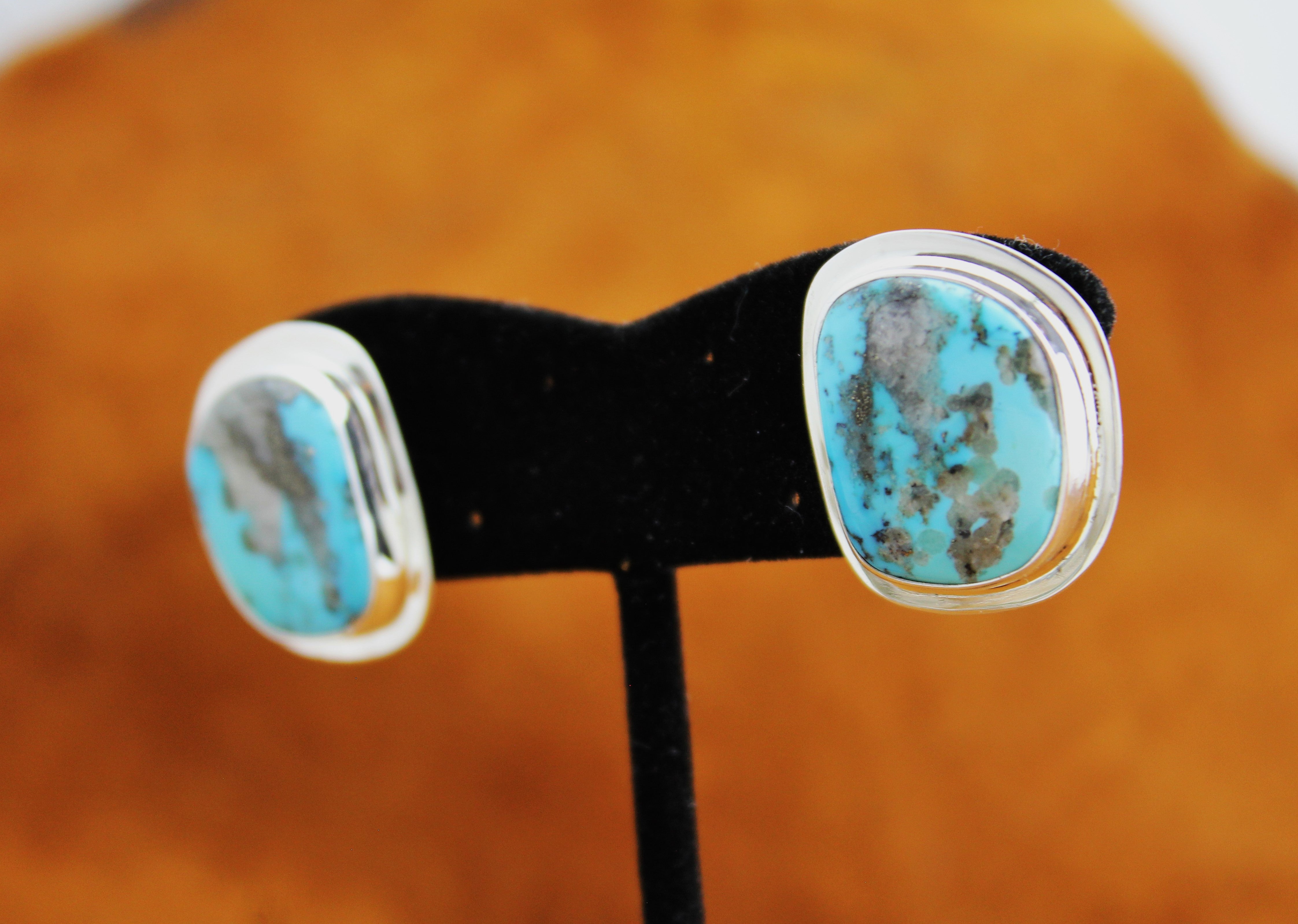 Tommy Jackson Turquoise Mountain Earrings